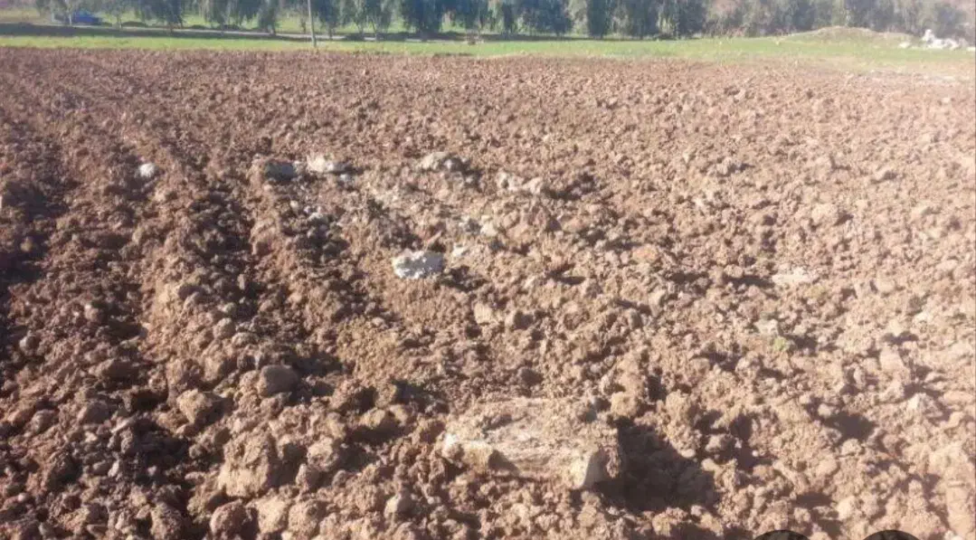 زمین کشاورزی ماهان|فروش دفتر صنعتی، کشاورزی، تجاری|ماهان, |دیوار