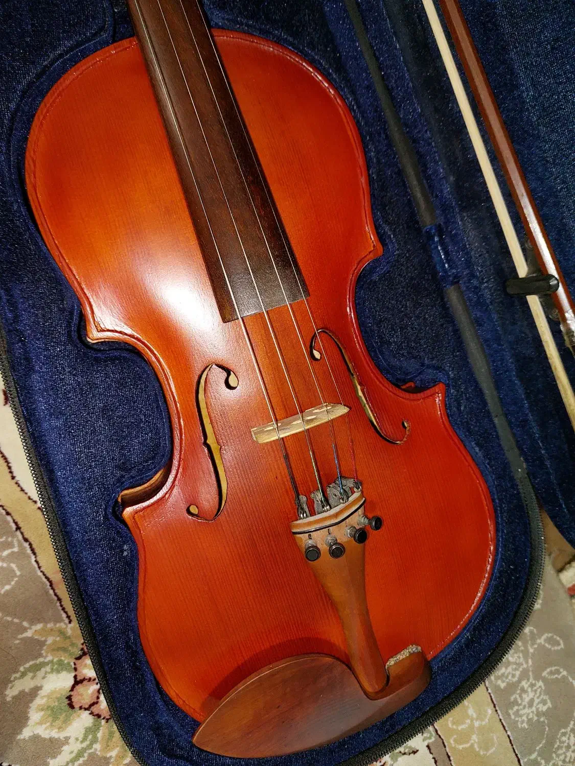 ویولن|ویولن|همدان, |دیوار