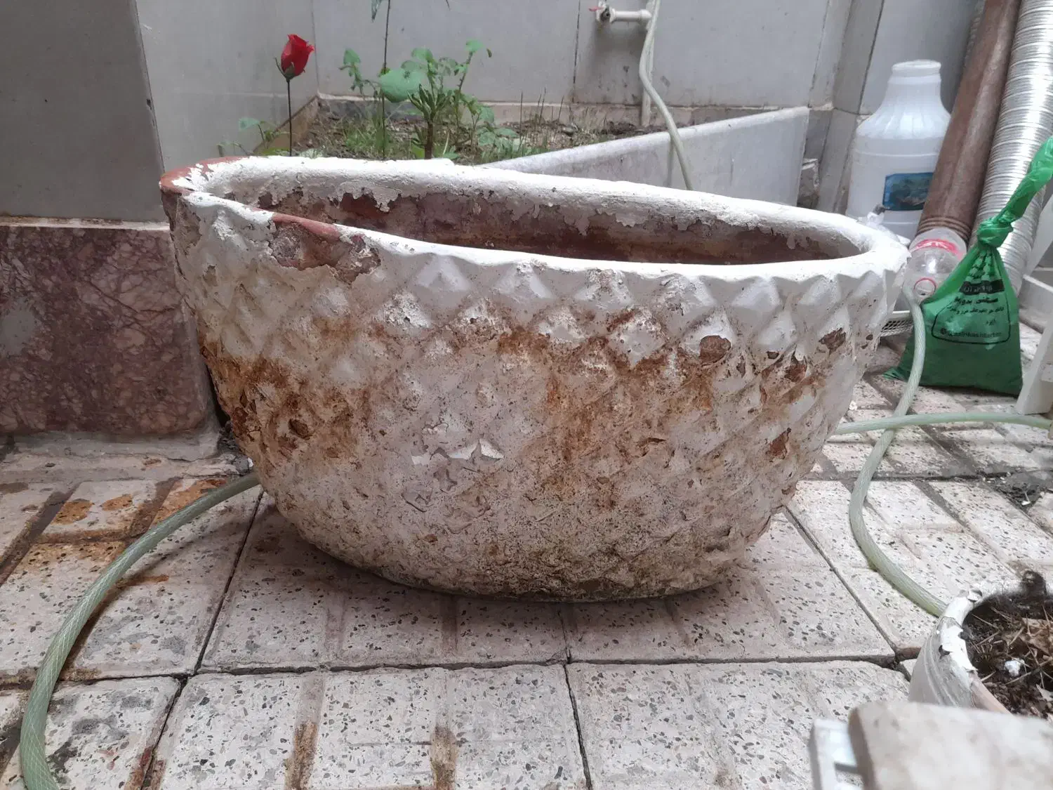 پایه گل و گلدون|گل و گیاه طبیعی|قائن, |دیوار