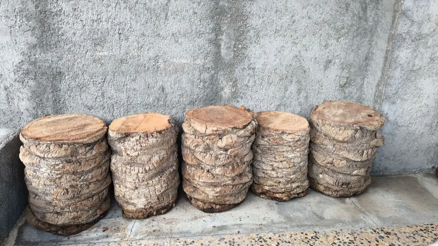 تنه نخل|صنایع دستی و سایر لوازم تزئینی|خورموج, |دیوار