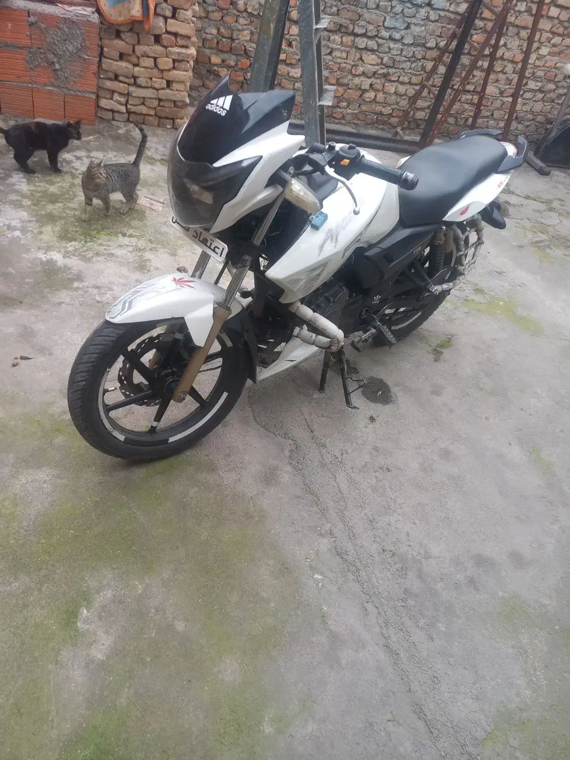 موتور آپاچی|موتورسیکلت|گرگان, |دیوار