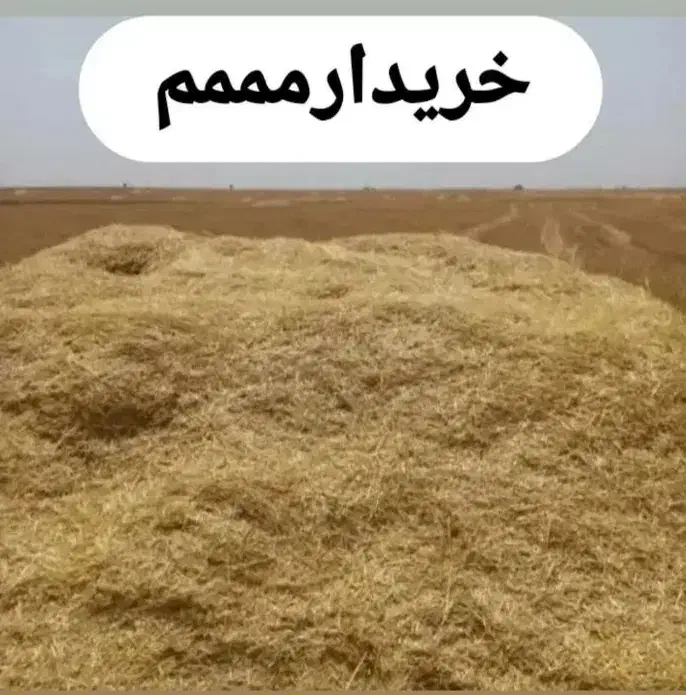 جو و گندم (کاه گندم و جو )|لوازم جانبی حیوانات|کازرون, |دیوار