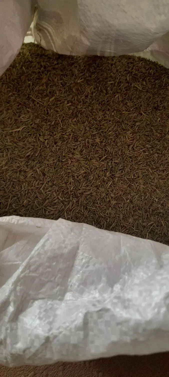 زیره سبز|خوردنی و آشامیدنی|چرداول, |دیوار