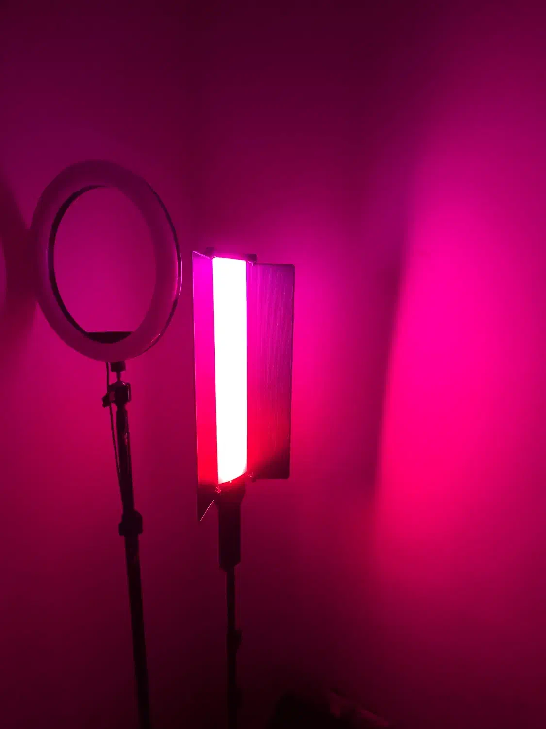لایت خطی و رینگ لایت برای تولید محتوا|دوربین عکاسی و فیلم‌برداری|لنگرود, |دیوار