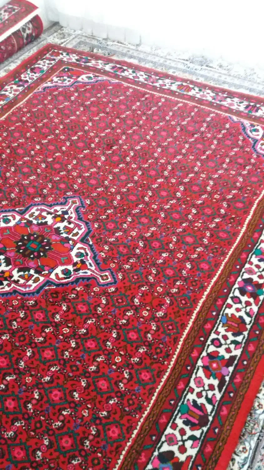 یک جفت فرش دستباف ازندریان|فرش|همدان, |دیوار