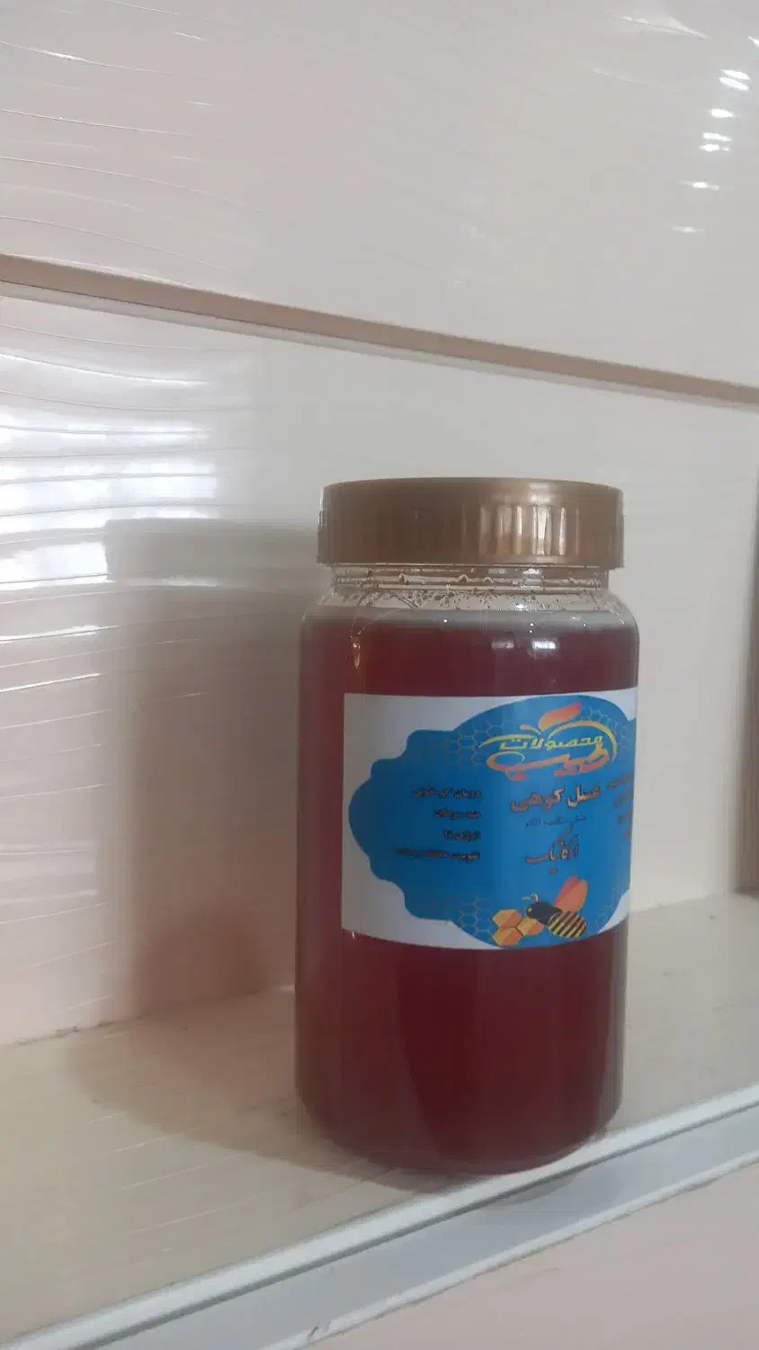 عسل /شیره انگور/سرکه سیب/سکنجبین/چهارشیره|خوردنی و آشامیدنی|اصفهان, احمدآباد|دیوار