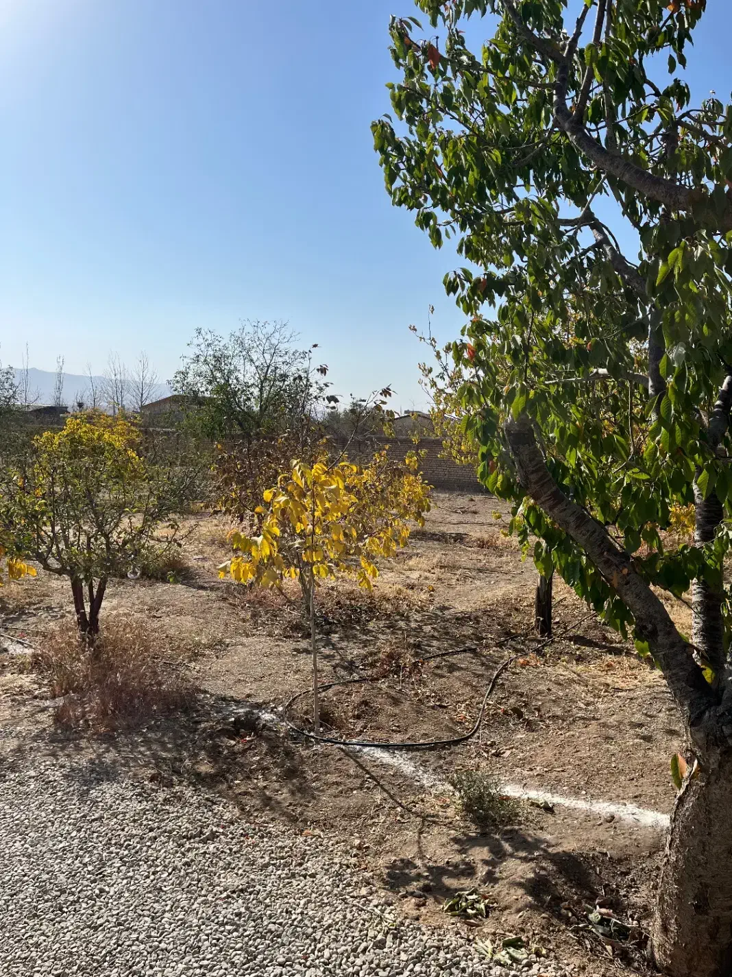 قطعه۲۸۰متری سنددارکنتوربرق+آب+نگهبانی جابان دماوند|فروش زمین و ملک کلنگی|دماوند, دماوند|دیوار