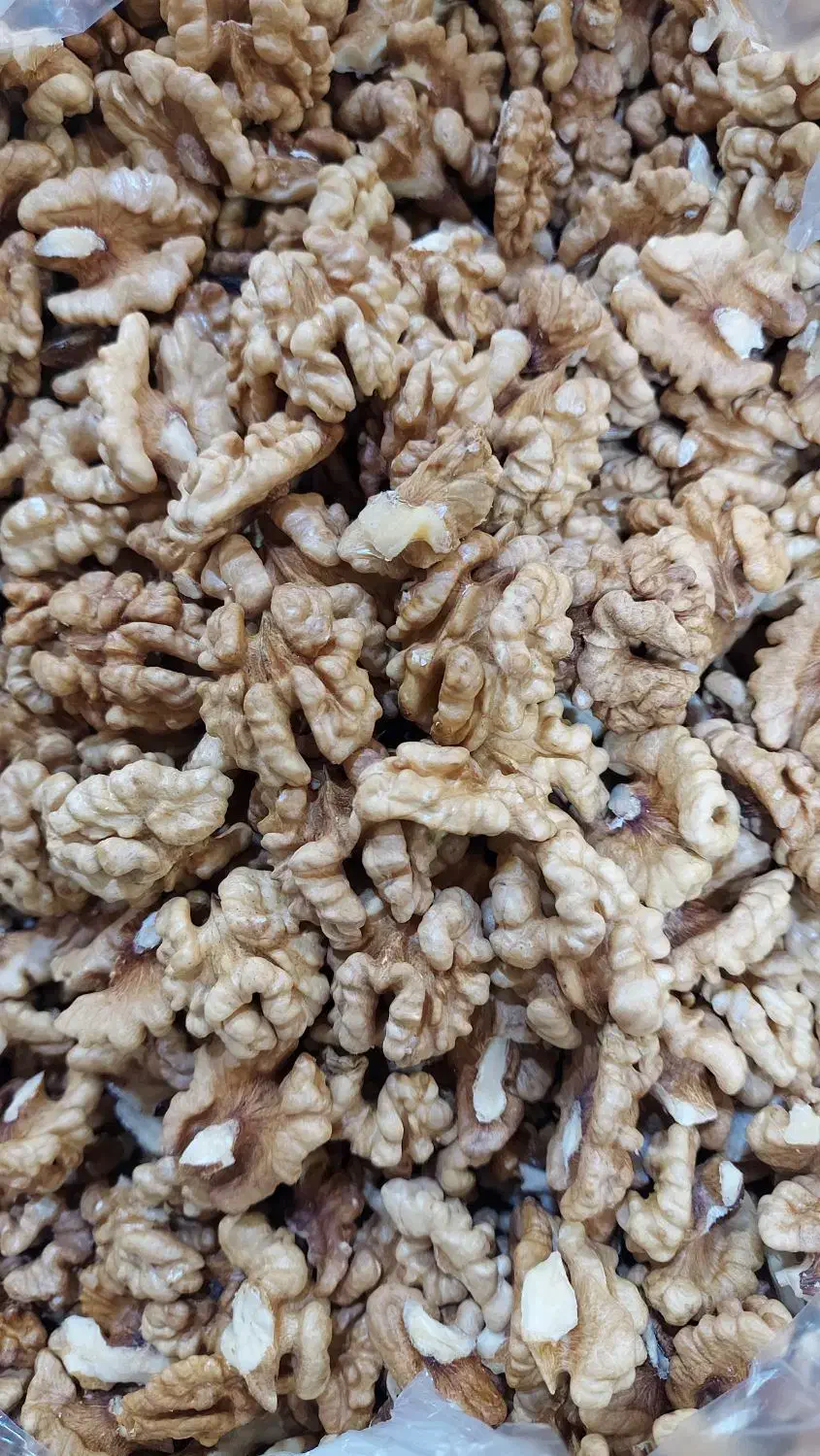 مغز گردو سنندج|خوردنی و آشامیدنی|قم, شاه ابراهیم|دیوار