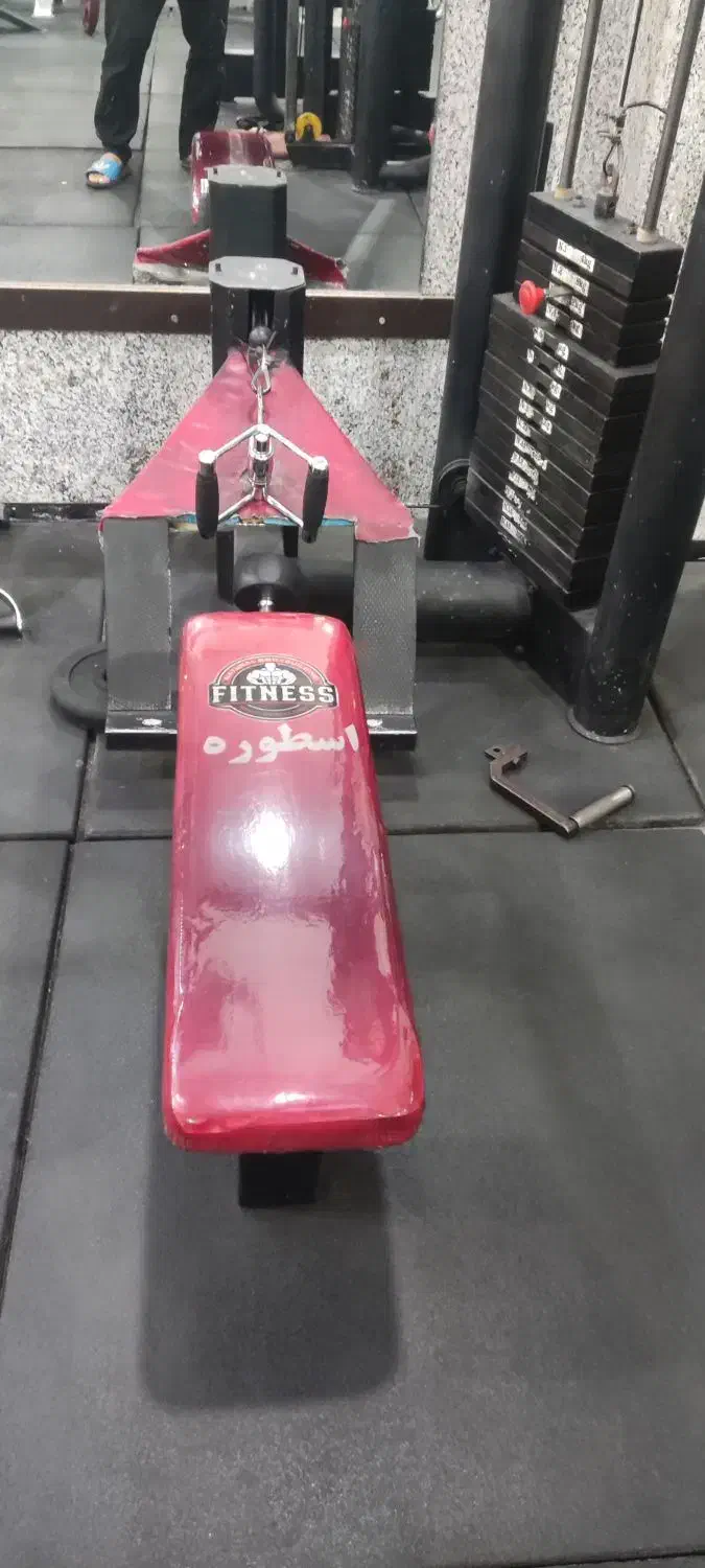 دستگاه قایقی|تجهیزات ورزشی|باوی, |دیوار