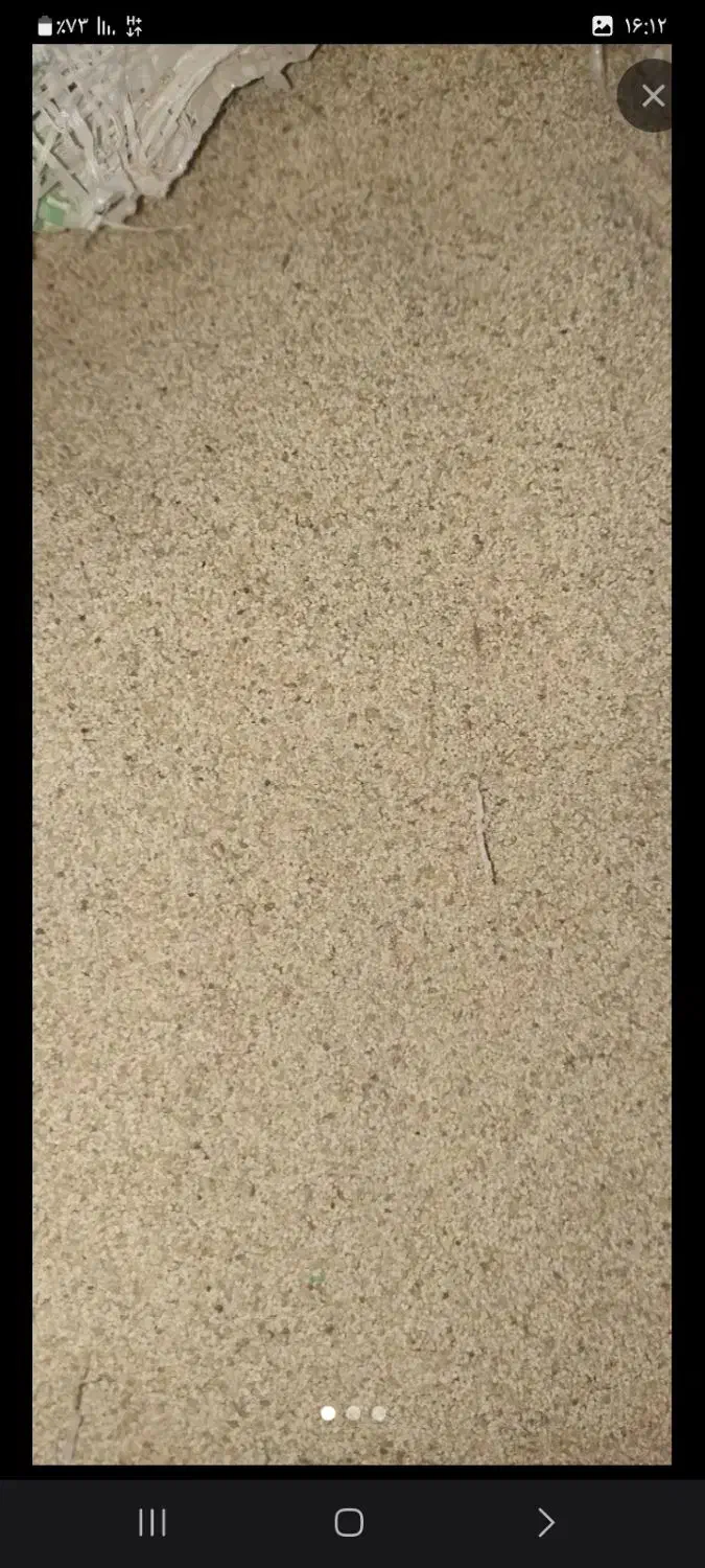 بذر کشاورزی امسال|گل و گیاه طبیعی|کوهدشت, |دیوار