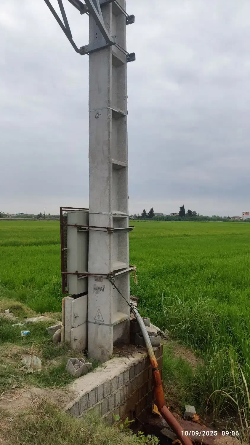 زمین کشاورزی دابودشت مازندران حقابه برق|فروش دفتر صنعتی، کشاورزی، تجاری|دابودشت, |دیوار