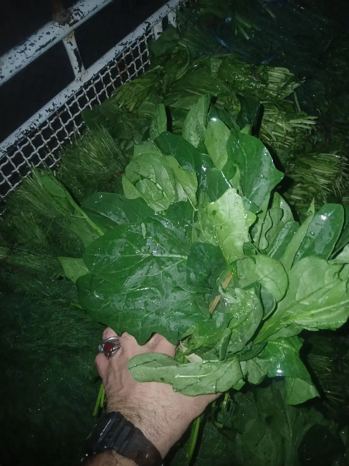 سبزی خورشتی|عمدهفروشی|مسجد سلیمان, |دیوار