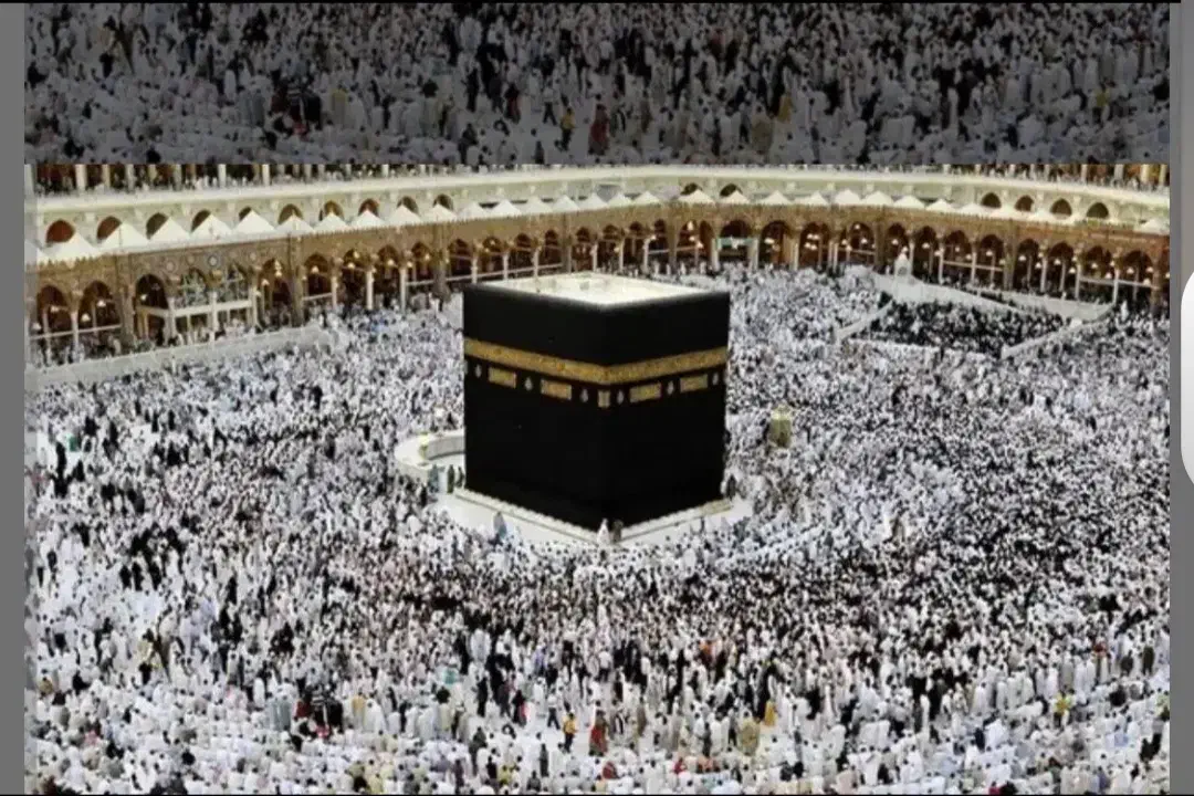 فروش فیش حج تمتع|تور و چارتر|تربتحیدریه, کوه سنگی|دیوار