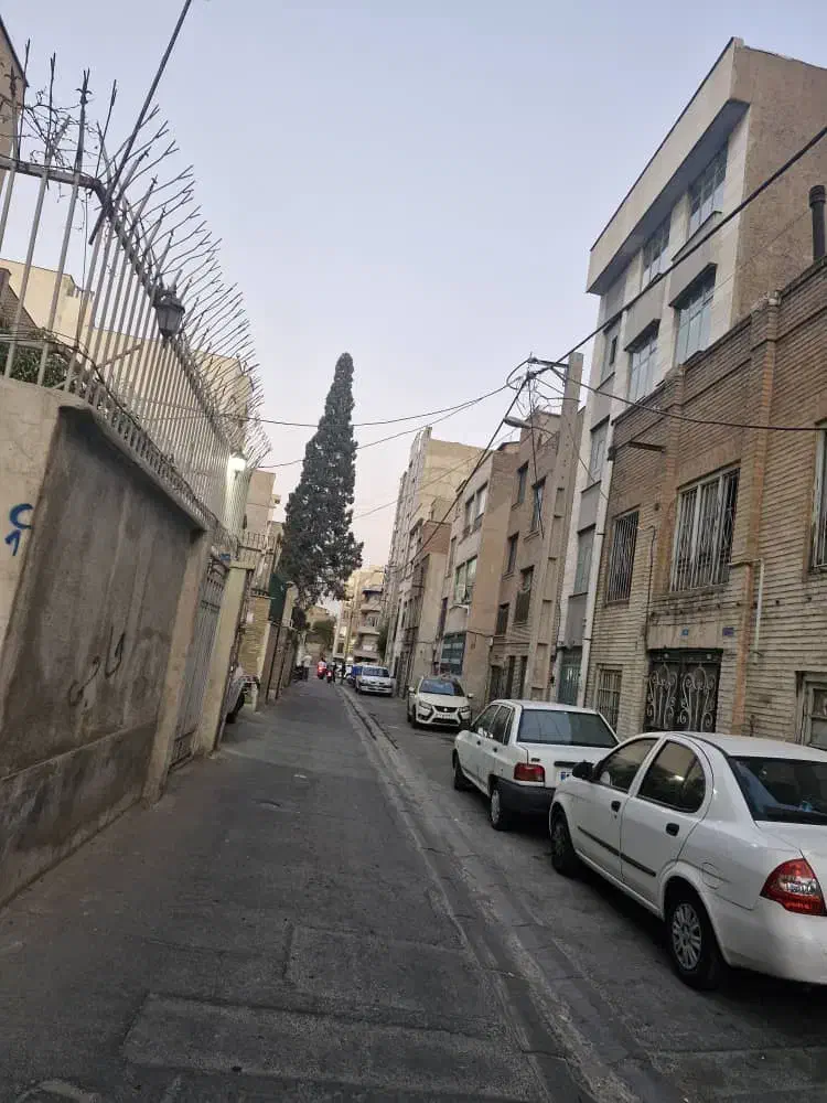 ۱۸۵ کلنگی خ انقلاب(۱۲فروردین)بر۹ پهنهm116|فروش زمین و ملک کلنگی|تهران, فلسطین (میدان انقلاب)|دیوار