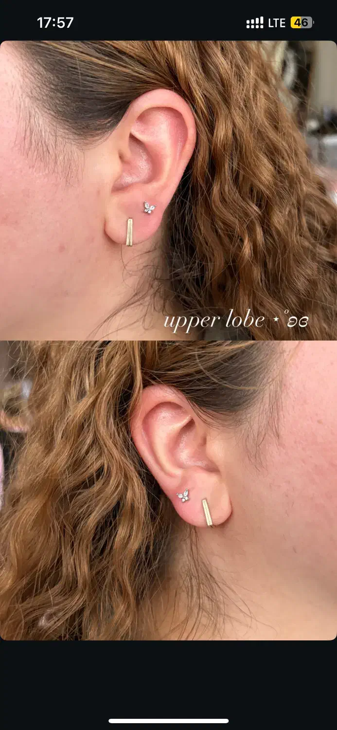 انجام خدمات پیرسینگ و آموزش پیرسینگ توسط پیراپزشک|خدمات آرایشگری و زیبایی|نیشابور, دارایی|دیوار