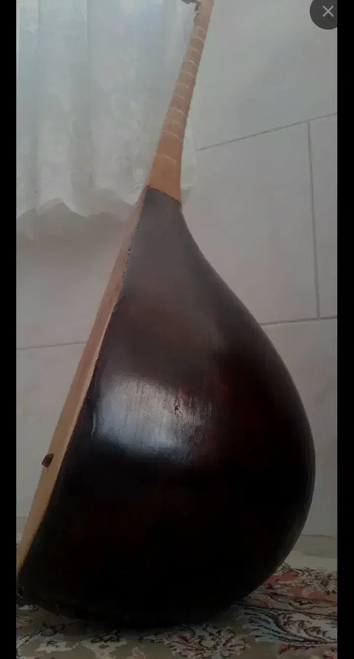 دوتار حرفه ای کرمانجی|سازهای سنتی|آشخانه, |دیوار