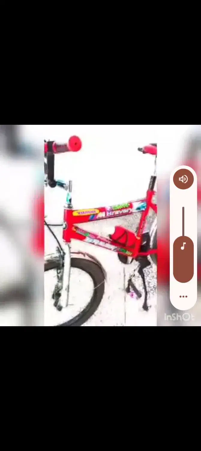 دوچرخه سالم|دوچرخه، اسکیت، اسکوتر|چابهار, |دیوار