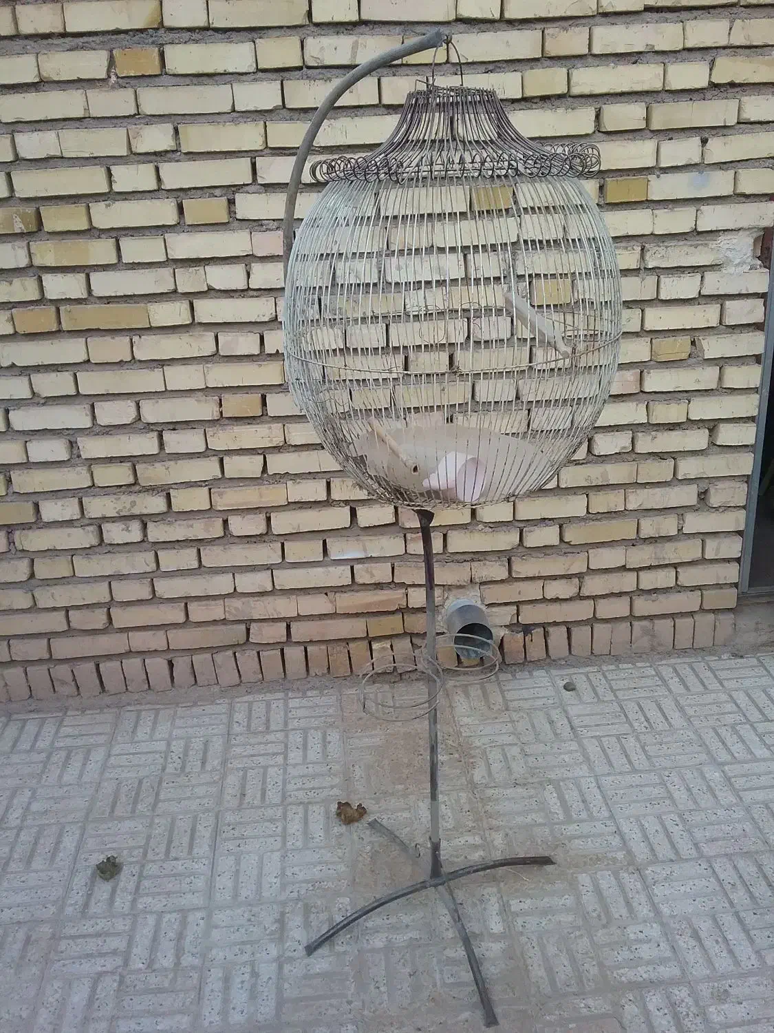 پایه ارگ و قفس پرنده|پیانو، کیبورد، آکاردئون|تربت جام, امام|دیوار