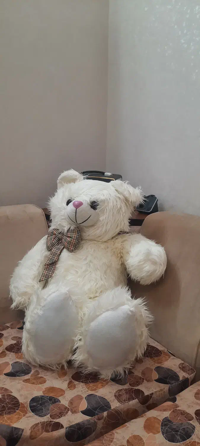 عروسک خرسی|اسباب‌‌بازی|زنجان, |دیوار