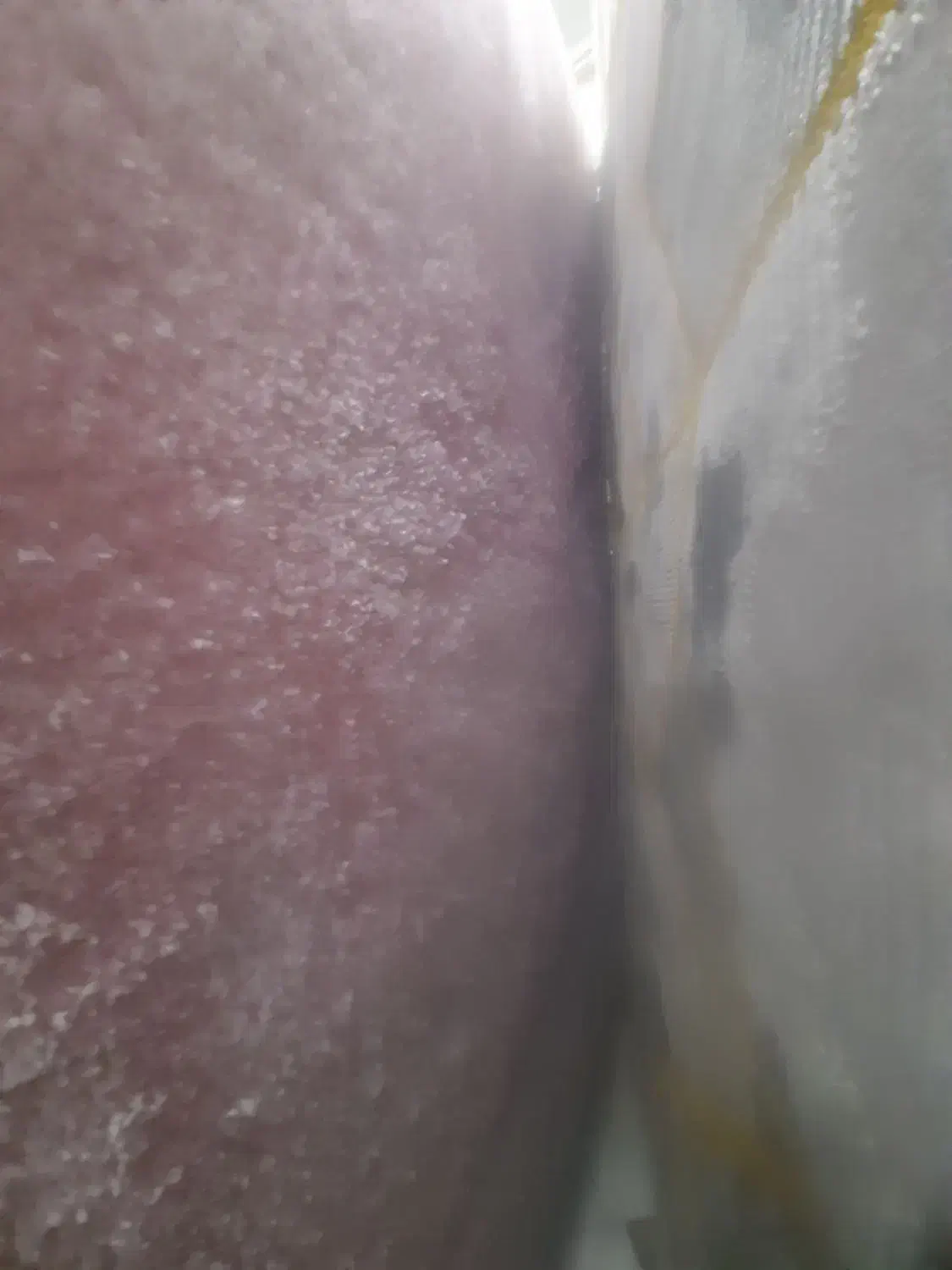 لباس شویی دوقلو فریدولین|ماشین لباسشویی و خشک‌کن لباس|نرماشیر, |دیوار