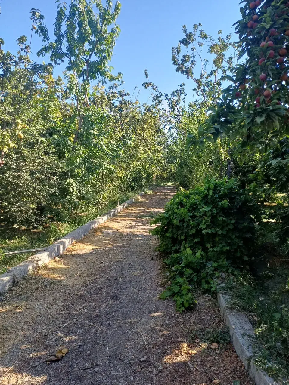 باغ نزدیک رود خانه ی زاینده رود پیربکران اصفهان|فروش زمین و ملک کلنگی|اصفهان, بوستان آینه خانه|دیوار
