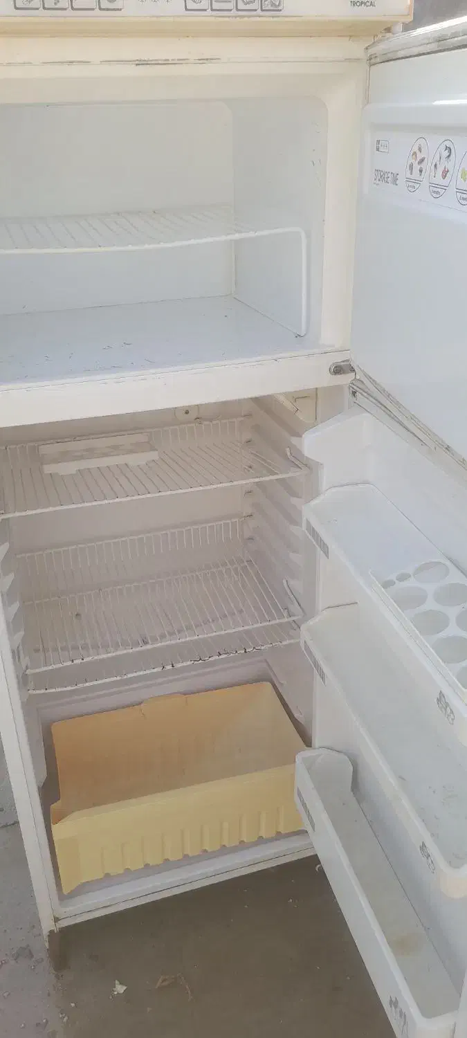 یخچال فیلور|یخچال و فریزر|خمیر, |دیوار