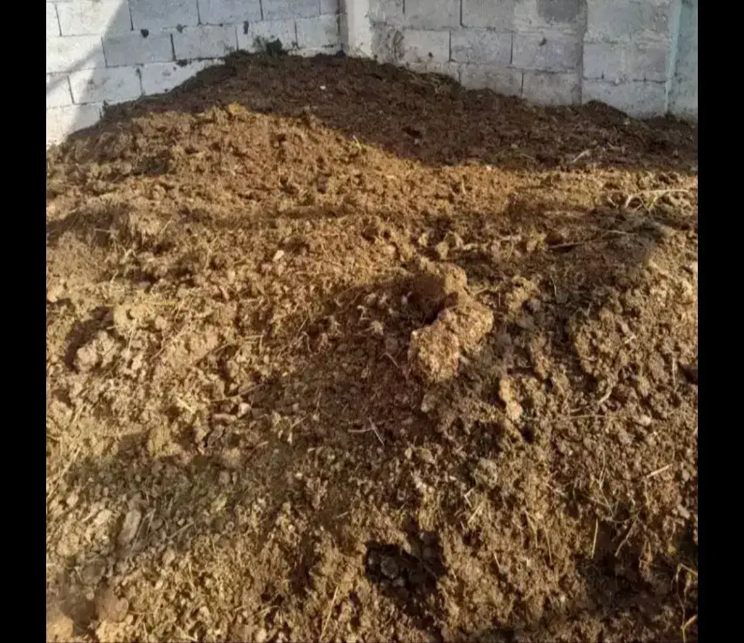 فروش پهن گاو|لوازم جانبی حیوانات|نوشین شهر, |دیوار