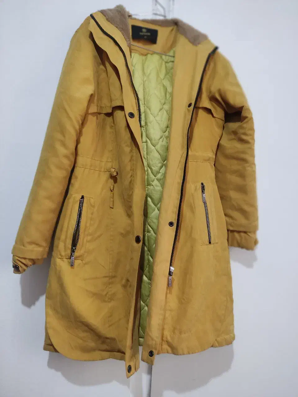 کاپشن|لباس|ساری, |دیوار