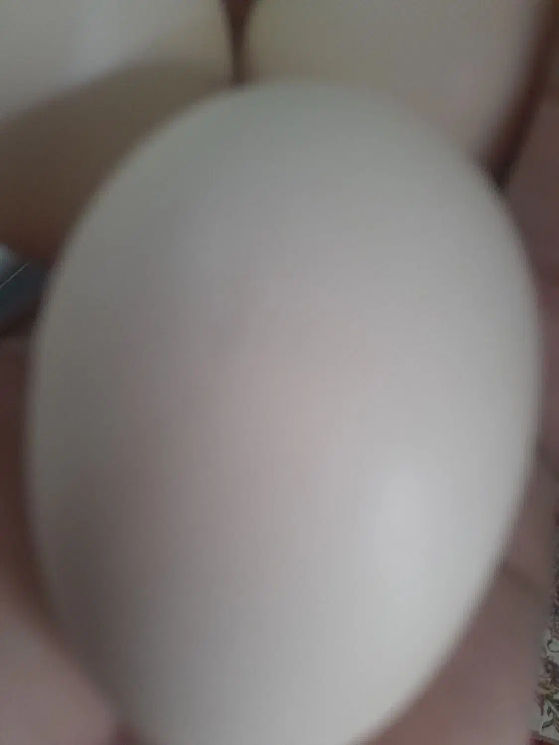 تخم مرغ محلی|خوردنی و آشامیدنی|نورآباد ممسنی, |دیوار