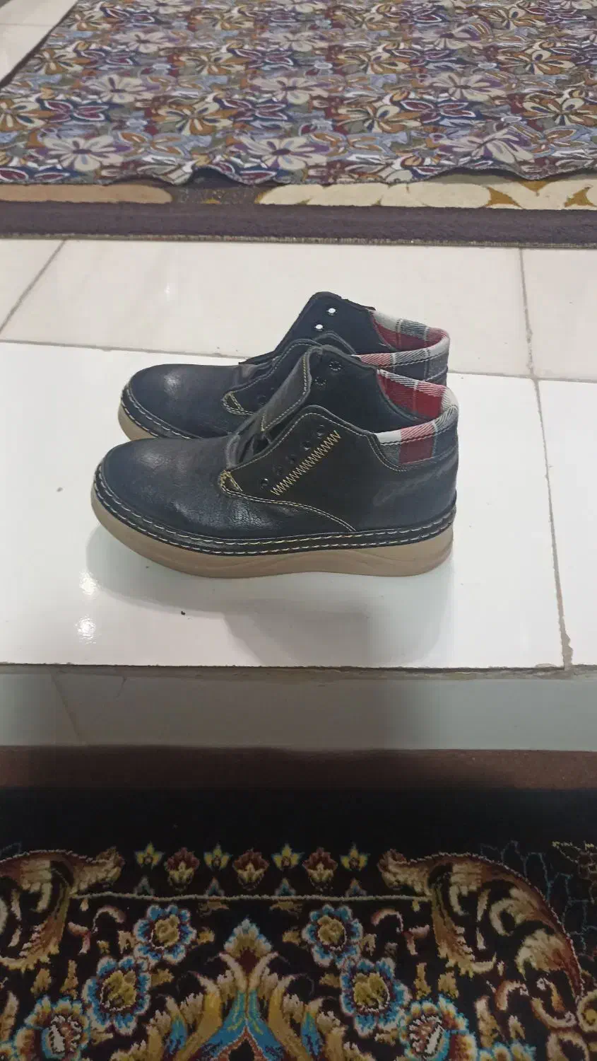 کفش.نیمپوت|کیف، کفش، کمربند|گلستان (تهران), |دیوار