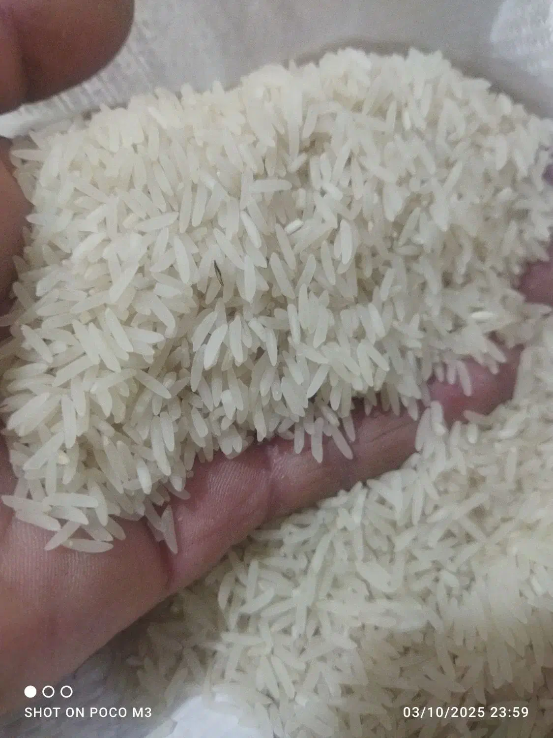 برنج طارم احمدی روشن|خوردنی و آشامیدنی|کلاله, |دیوار