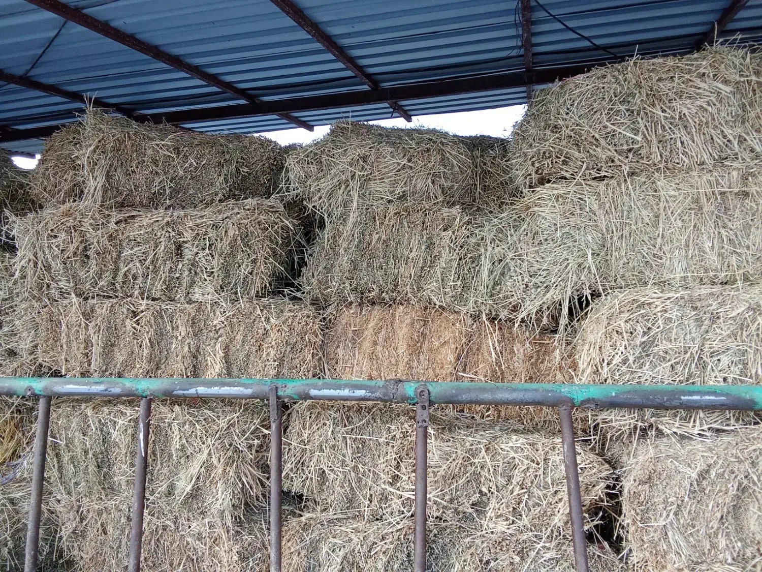 لوازم دام گاو گوسفند|لوازم جانبی حیوانات|قصابه, |دیوار