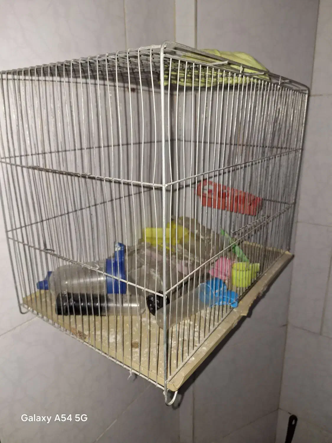 قفسه پرنده|لوازم جانبی حیوانات|اندیشه, اندیشه فاز ۱|دیوار