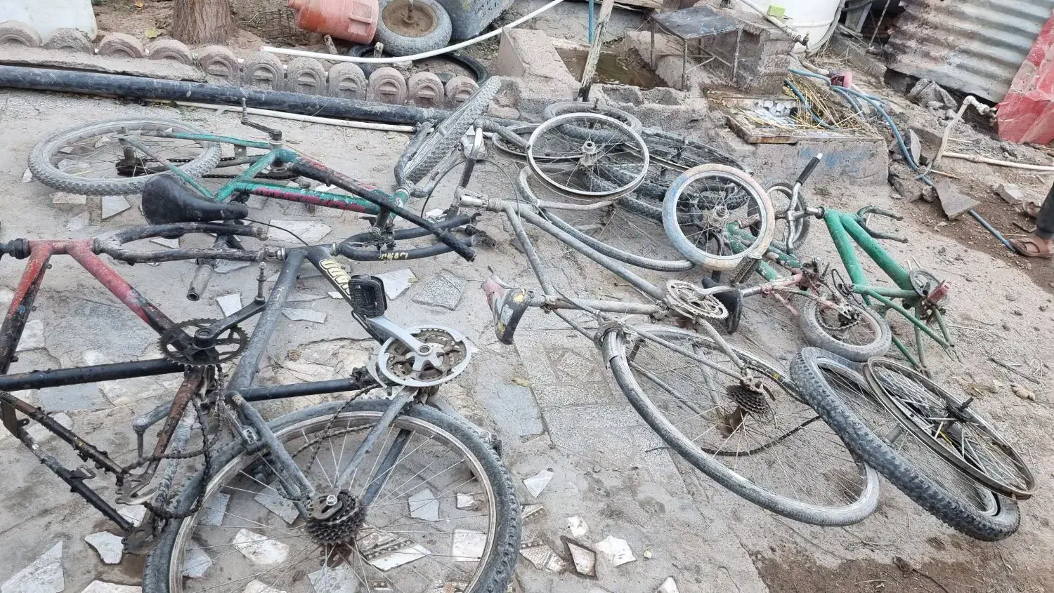 تعدادی دوچرخه|دوچرخه، اسکیت، اسکوتر|کرمان, |دیوار