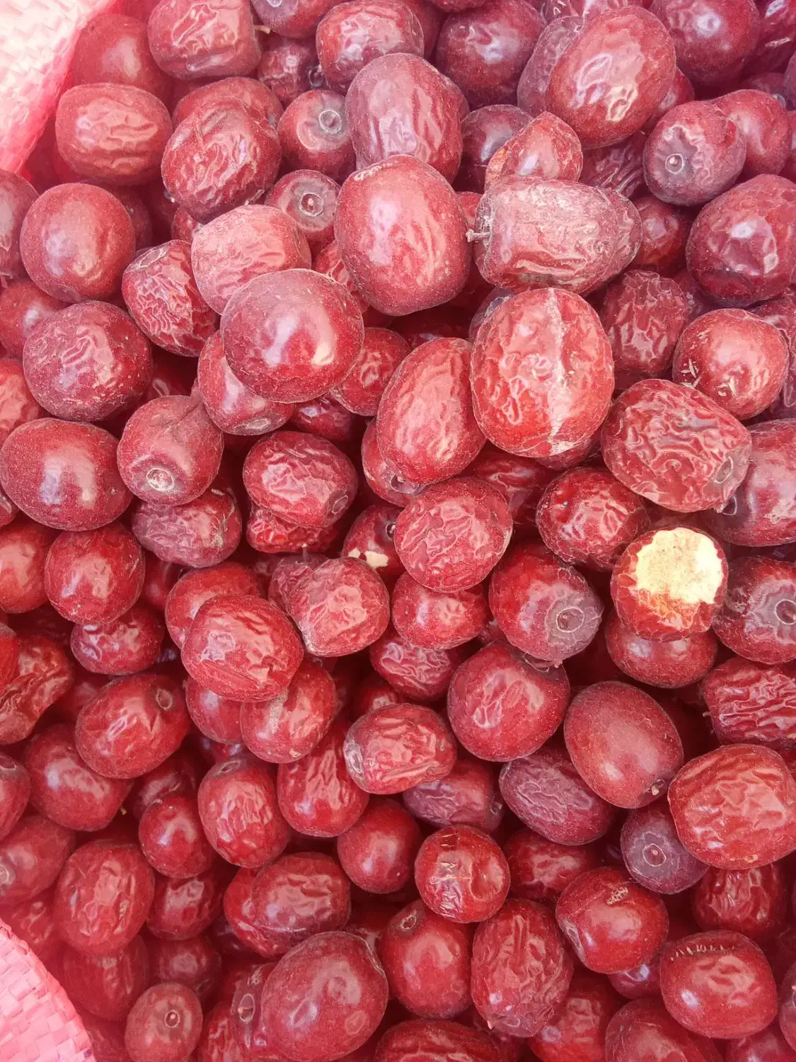 عناب ریزودرشت|عمدهفروشی|قائن, |دیوار