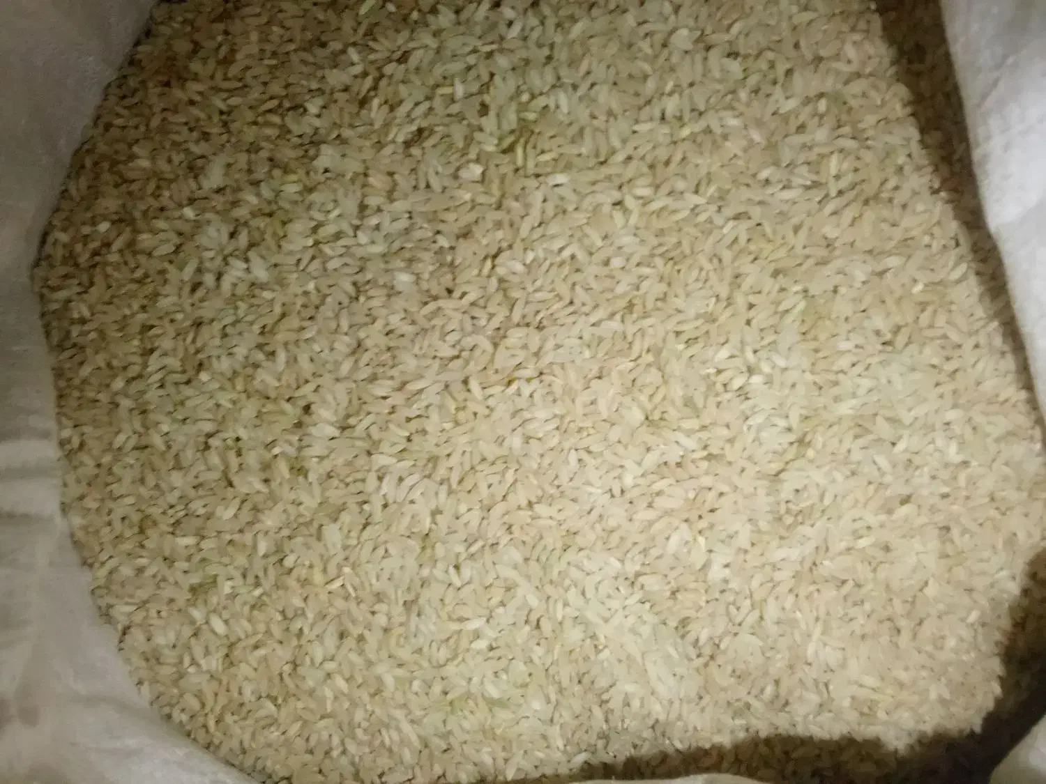 برنج لوداب|عمدهفروشی|یاسوج, |دیوار