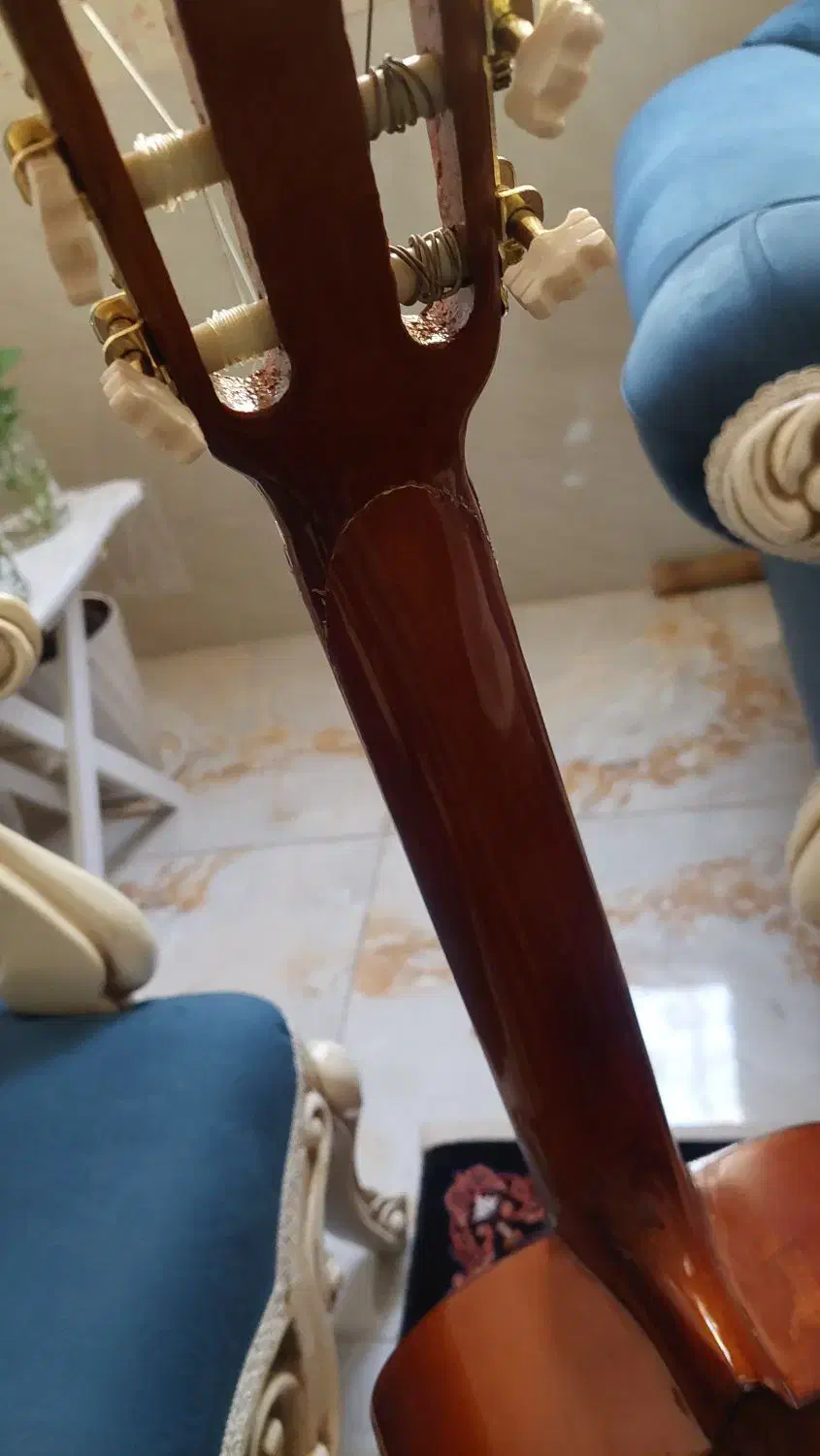 گیتار قیمت توافقی|گیتار، بیس، امپلیفایر|اقبالیه, |دیوار