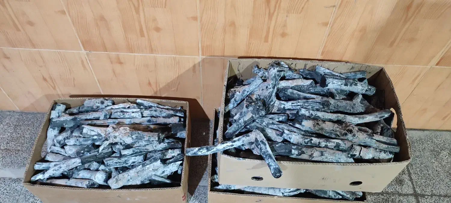 زغال|عمده‌فروشی|حمیدیا, |دیوار