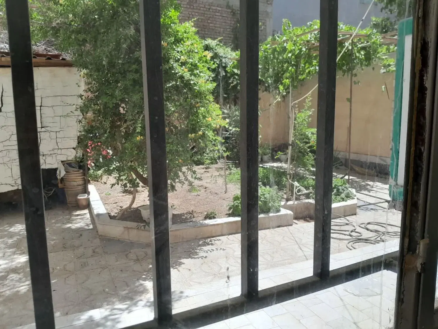 تصویر 2
