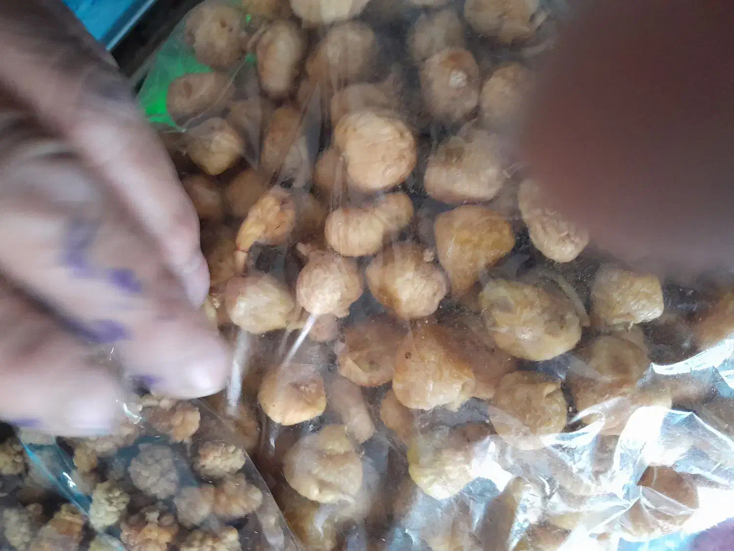 فروش ویژه زعفران خراسان رضوی از کشاورز|حراج|ری, شهرری|دیوار