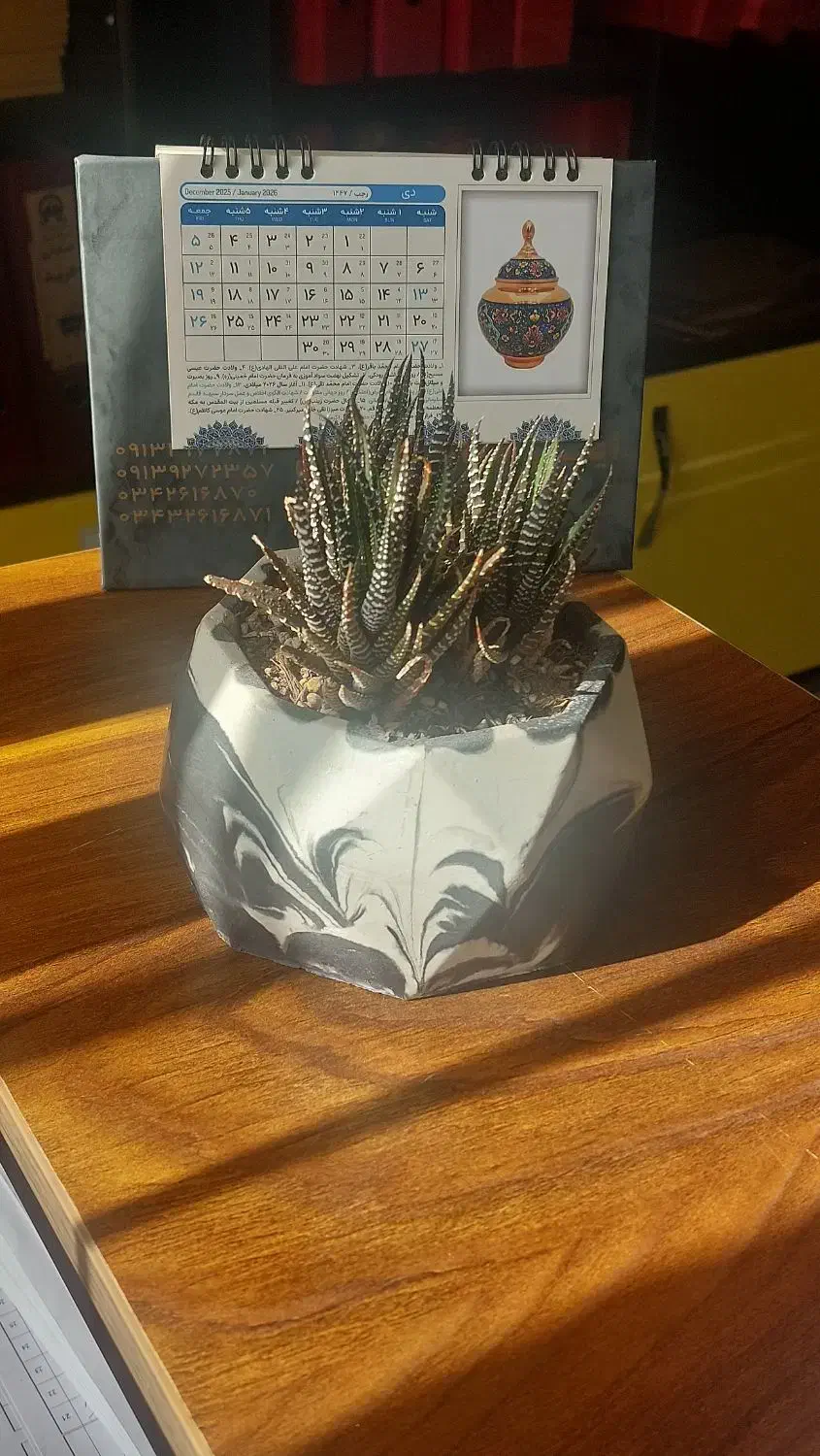 گل زینتی|گل و گیاه طبیعی|کرمان, |دیوار