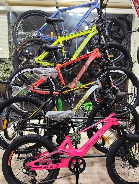 دوچرخه ۲۶ حرفه ای (کوهستان ویوا اصل))اقساط بلندمدت|دوچرخه، اسکیت، اسکوتر|اردبیل, |دیوار