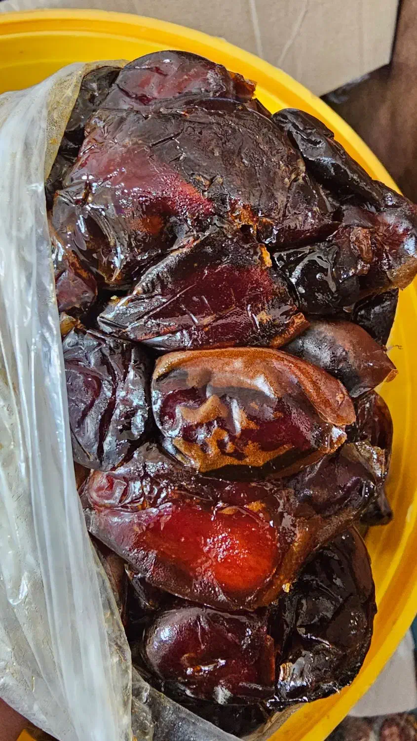 خرمای کبکاب درجه یک|خوردنی و آشامیدنی|جم, |دیوار