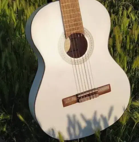 گیتار کلاسیک|گیتار، بیس، امپلیفایر|تالش, هشتپر|دیوار