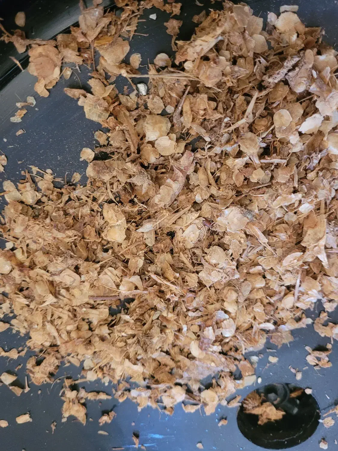 پودر ماهی|ماهی|قشم, |دیوار