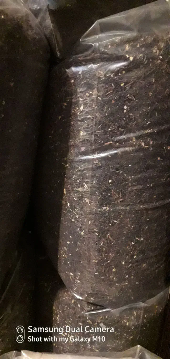 چای سیلان خارجی|خوردنی و آشامیدنی|ری, سیزده آبان|دیوار