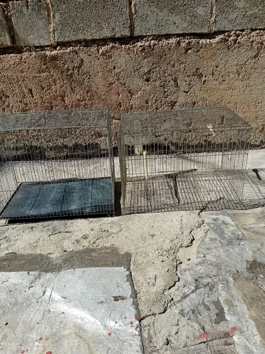 دوعدد قفس سایز بزرگ با یک عدد جفت تله|لوازم جانبی حیوانات|ایلام, |دیوار