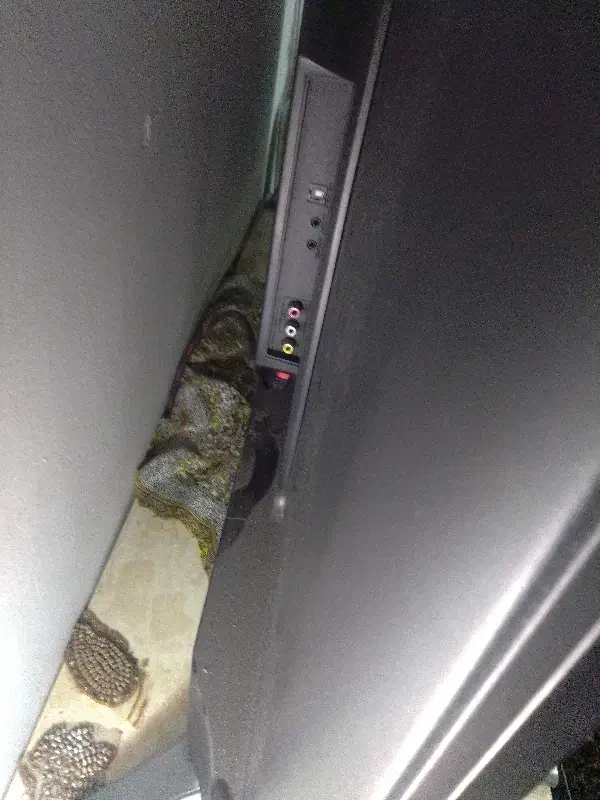 تلویزیون۵۵مدل اسنوا|تلویزیون و پروژکتور|تهران, سجاد|دیوار