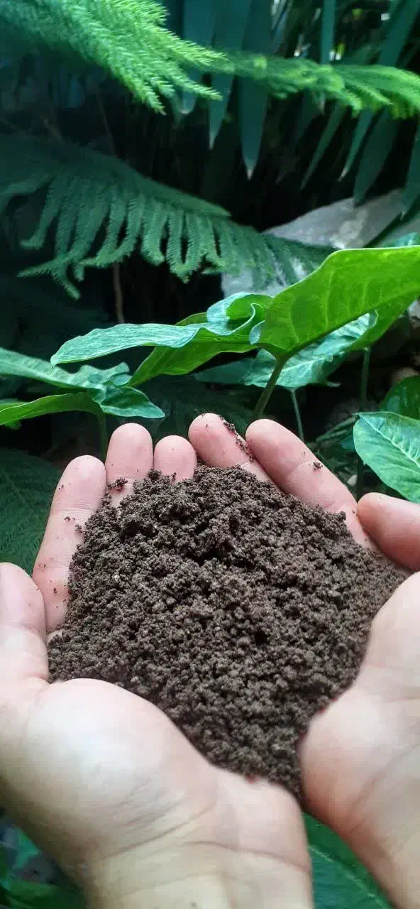تولیدی انواع کود ( ورمی کمپوست ، گوسفندی ، گاوی )|خدمات باغبانی و درختکاری|اصفهان, خواجه عمید|دیوار