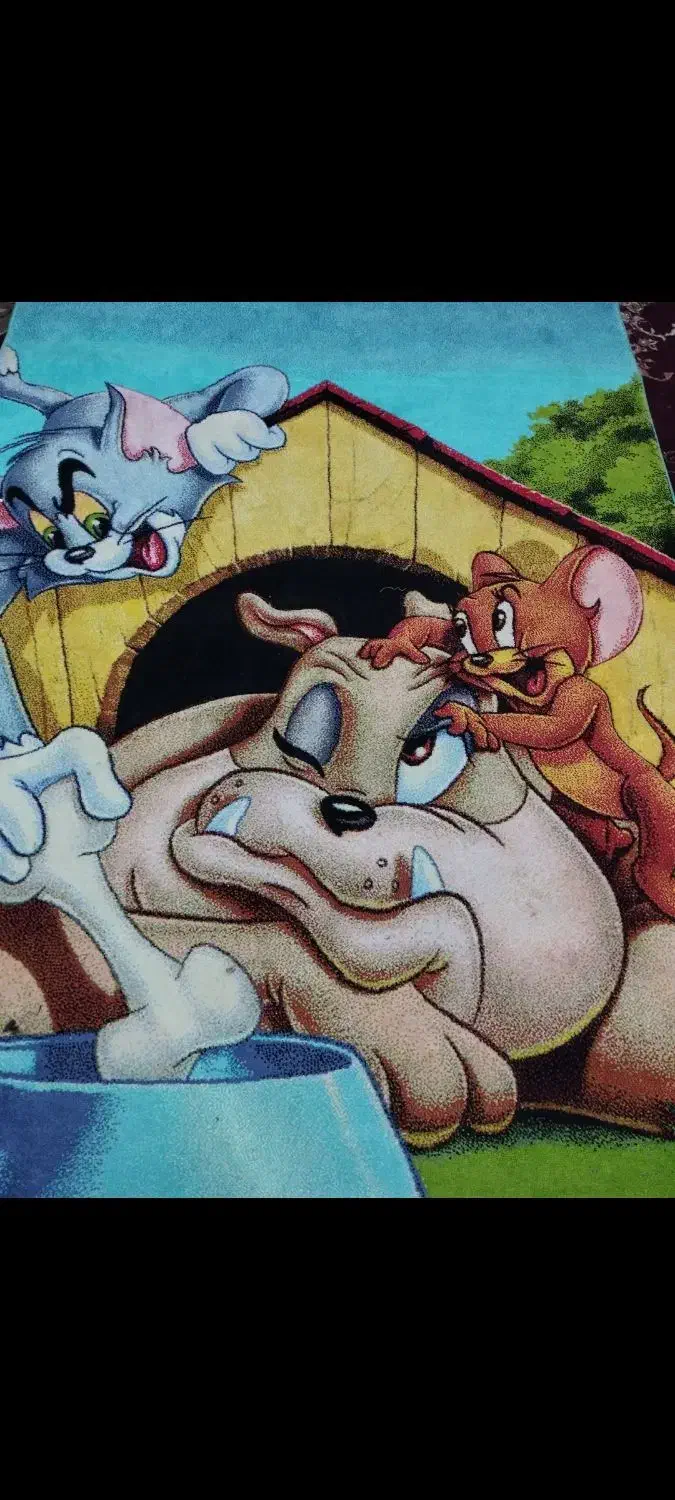 فرش اتاق کودک|گلیم، جاجیم، گبه|شاهرود, |دیوار